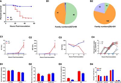 NOD1 Is Associated With the Susceptibility of Pekin Duck Flock to Duck Hepatitis A Virus Genotype 3